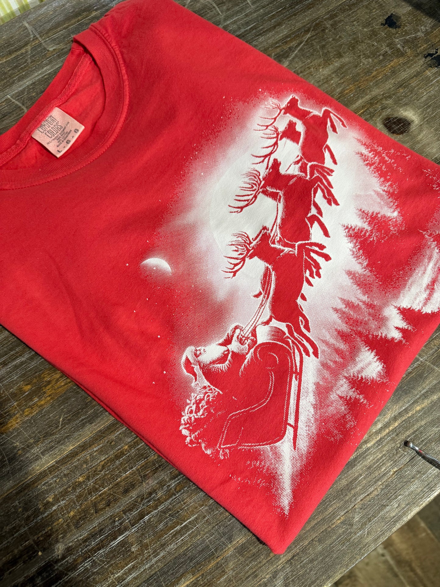 Santa Sleigh snowy night