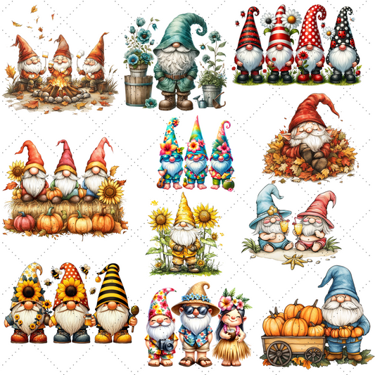 Mystery Gnome Graphic T-Shirt Surprise Cottagecore Tee