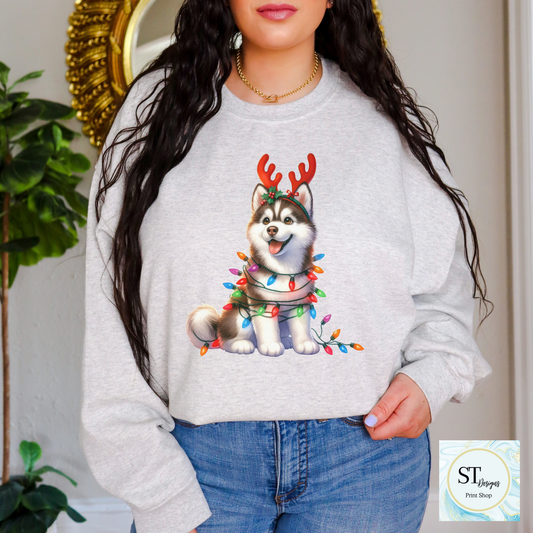 Husky Christmas