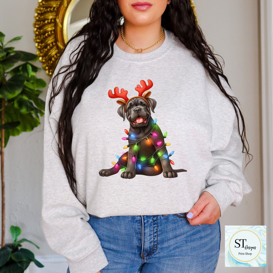 Cane Corso Christmas