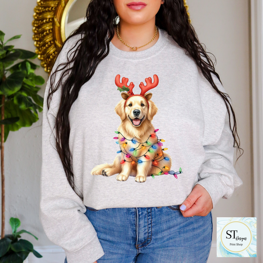 Golden Retriever Christmas