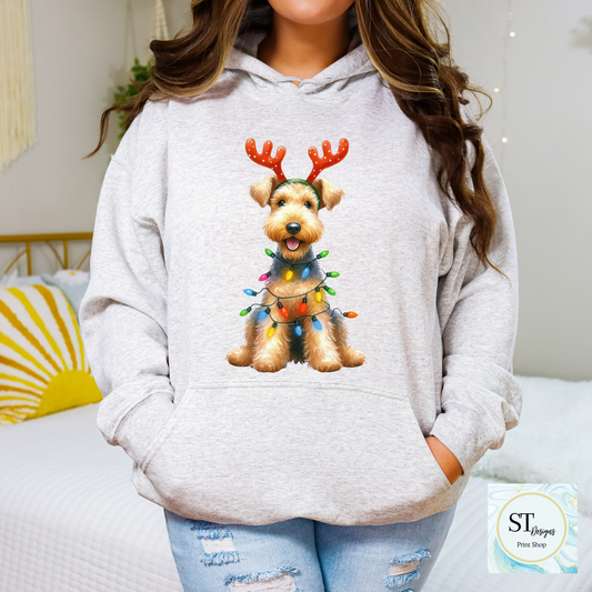 Airedale Terrier Christmas