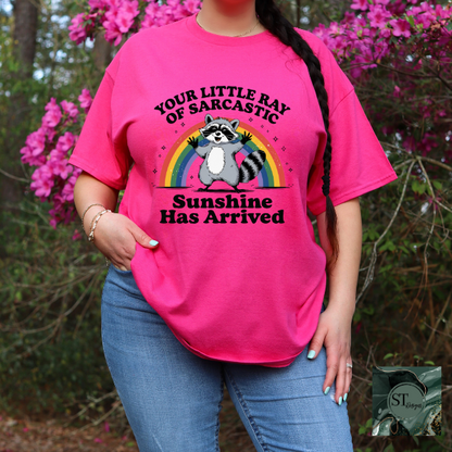 Your sarcastic ray of sunshine has arrived T-Shirt