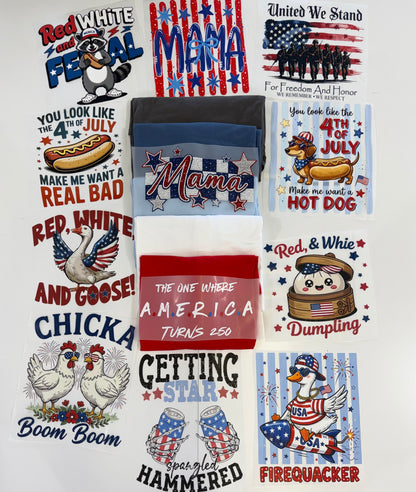July 4th Mystery Grab Bag