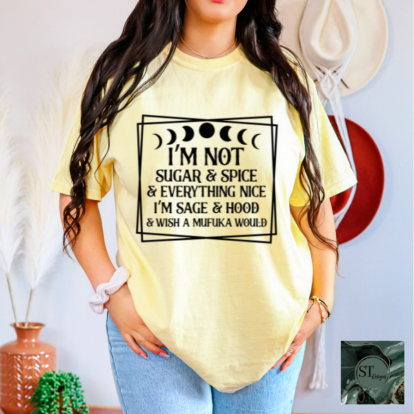 I'm not sugar and spice T-Shirt