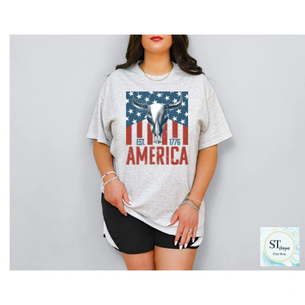 America Bullskull Flag