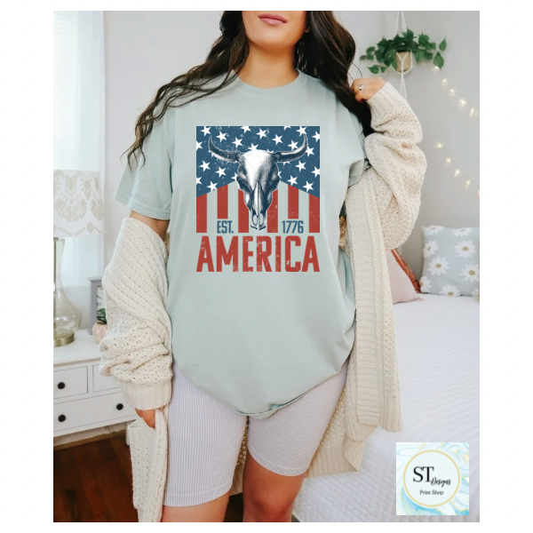 America Bullskull Flag