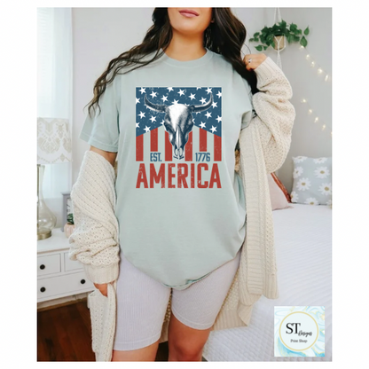 America Bullskull Flag