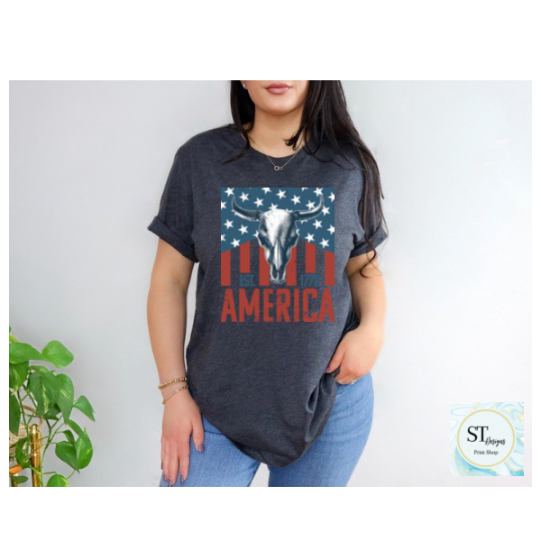 America Bullskull Flag