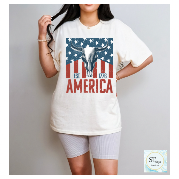 America Bullskull Flag