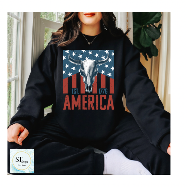 America Bullskull Flag